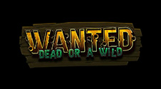 #10 Wanted Dead or Wild - мноства бонусаў